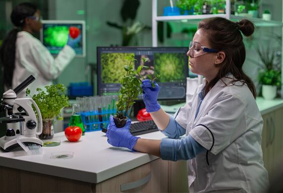 Empowering girls in STEM A Masterclass for Women & Girls in Science Day