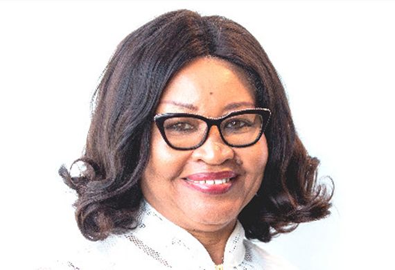 Nigeria-South Africa Chamber of Commerce elects Dr Ije Jidenma as New President